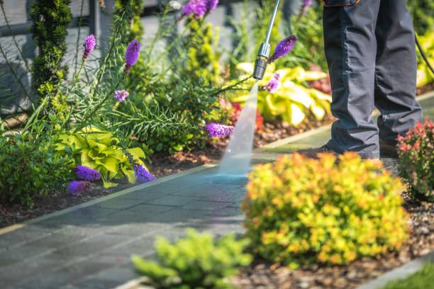 Reliable Schleswig, IA Pressure Washing Services Solutions